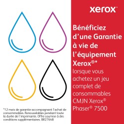 xerox-toner-cartouche-7500-cyan-capacite-standard-106r01433-96k-phaser-7500-2.jpg